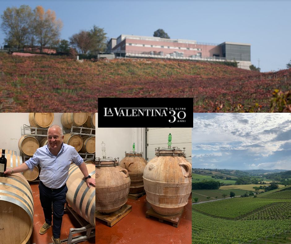 La Valentina: chai et vignobles