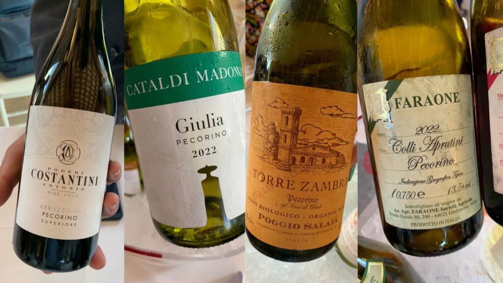 Vins du cépage Pecorino d'Abruzzo