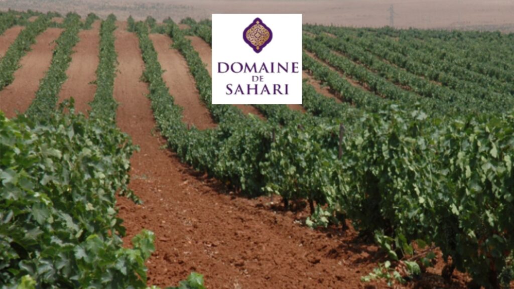 Vignoble Domaine de Sahari