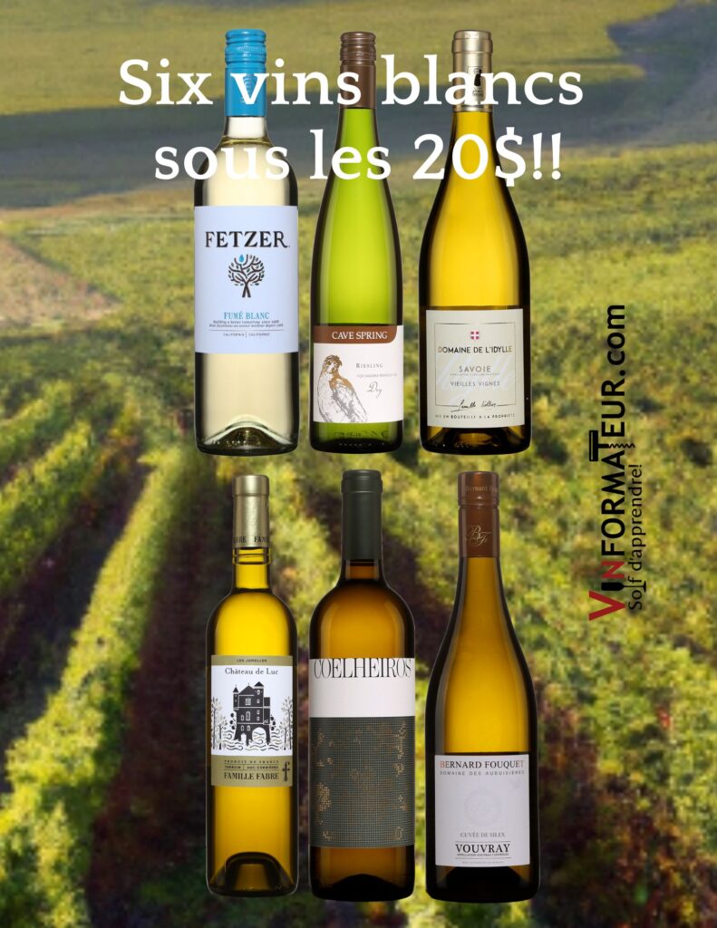 Vins blancs:Fetzer, Fumé blanc, Riesling, Dry, Cave Spring, Domaine de l’Idylle, Savoie, Château de Luc blanc, Coelheiros blanc, Cuvée de Silex, Domaines des Aubuisières, bouteilles
