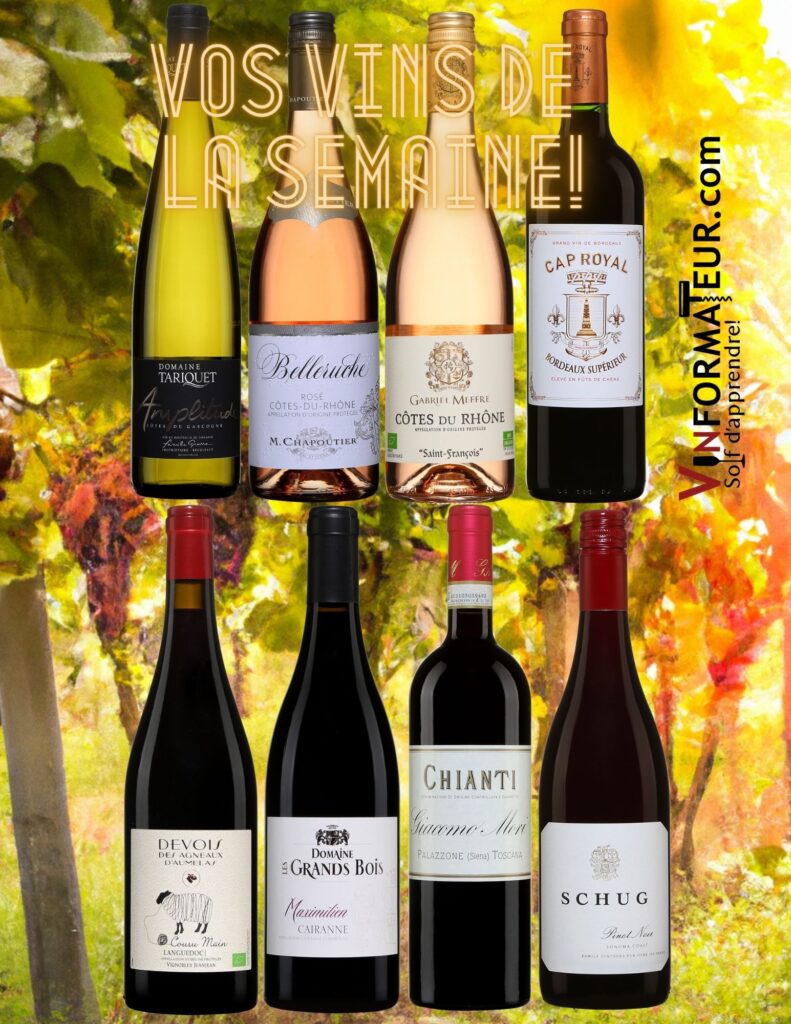 Vos vins de la semaine! Domaine Tariquet, Amplitude, Belleruche rosé, Gabriel Meffre, Cuvée Saint-François,Cap Royal, Bordeaux Supérieur , Cousu Main, Devois des Agneaux , Domaine Les Grands Bois, Chianti DOCG, Giacomo Mori, Pinot Noir, Schug Estate bouteilles