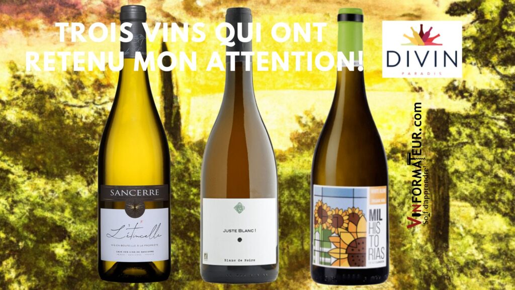 Trois vins blancs qui ont particulièrement retenu mon attention.