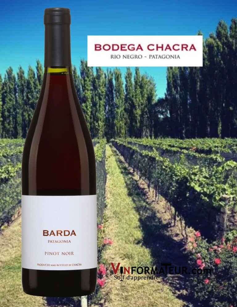 Pinot Noir, Barda, Argentine, Patagonie, vin rouge bouteille