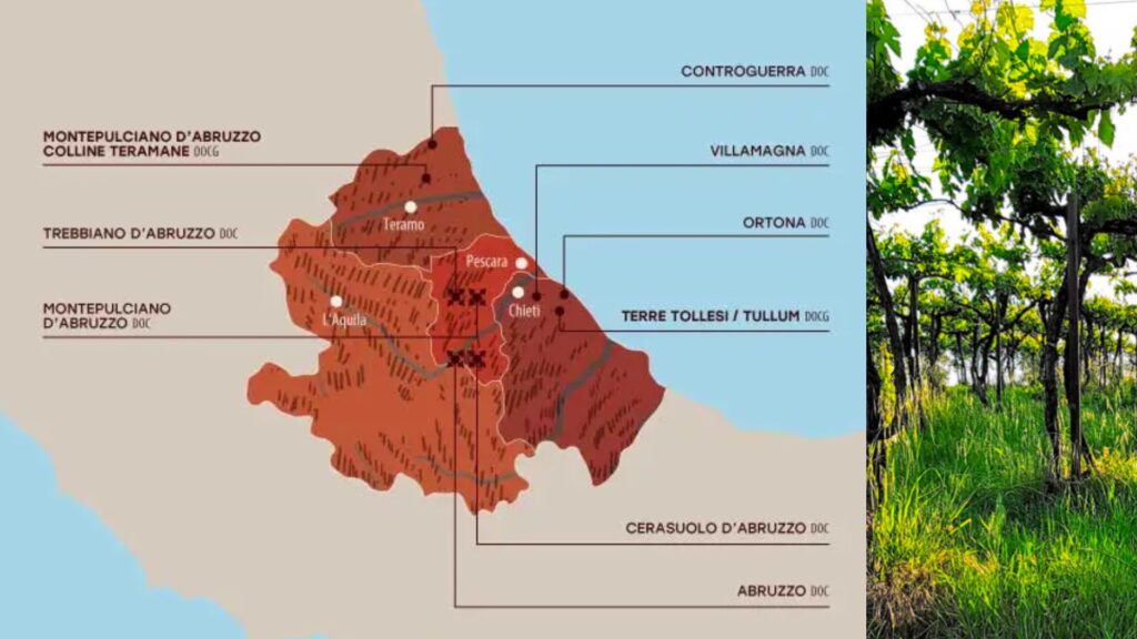 Carte viticole des Abruzzes