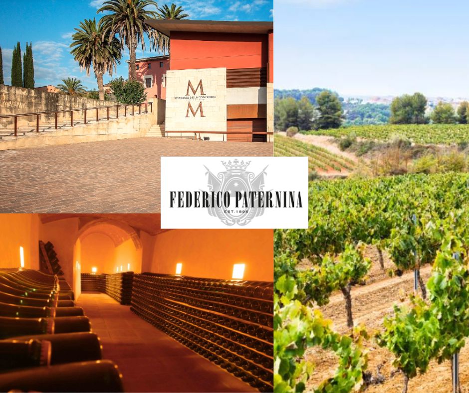 Federico Paternina: chai et vignobles