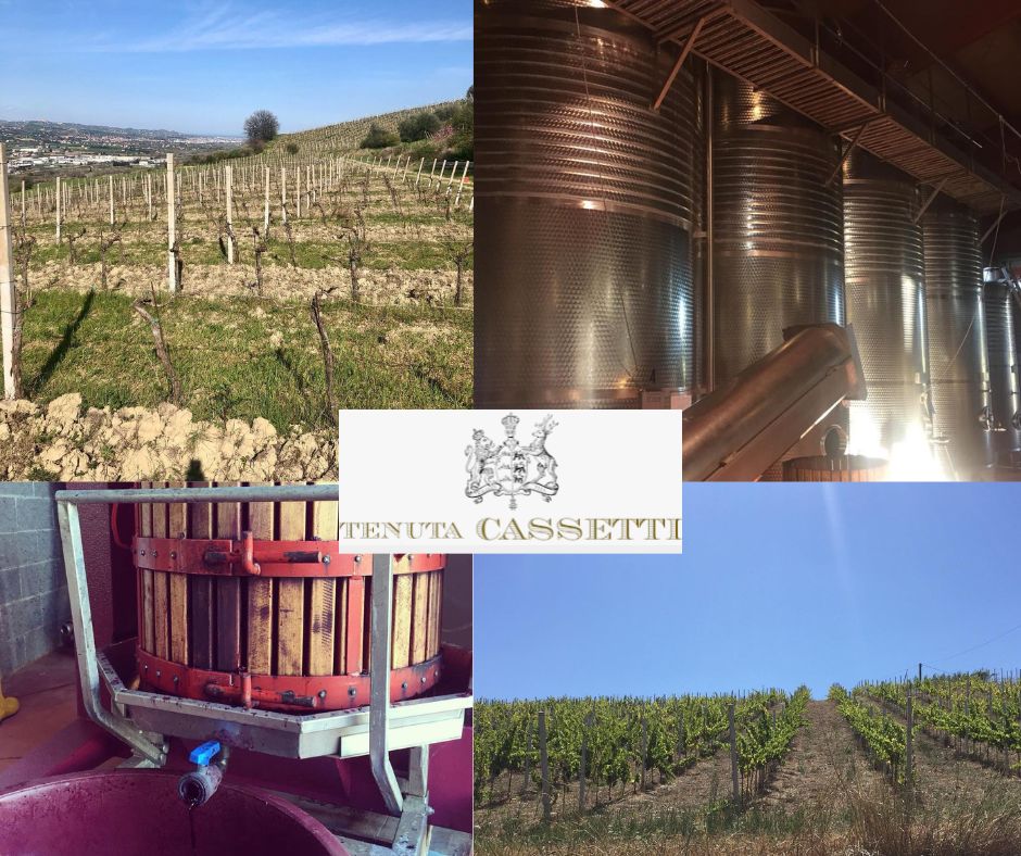 Tenuta Cassetti: chai et vignobles