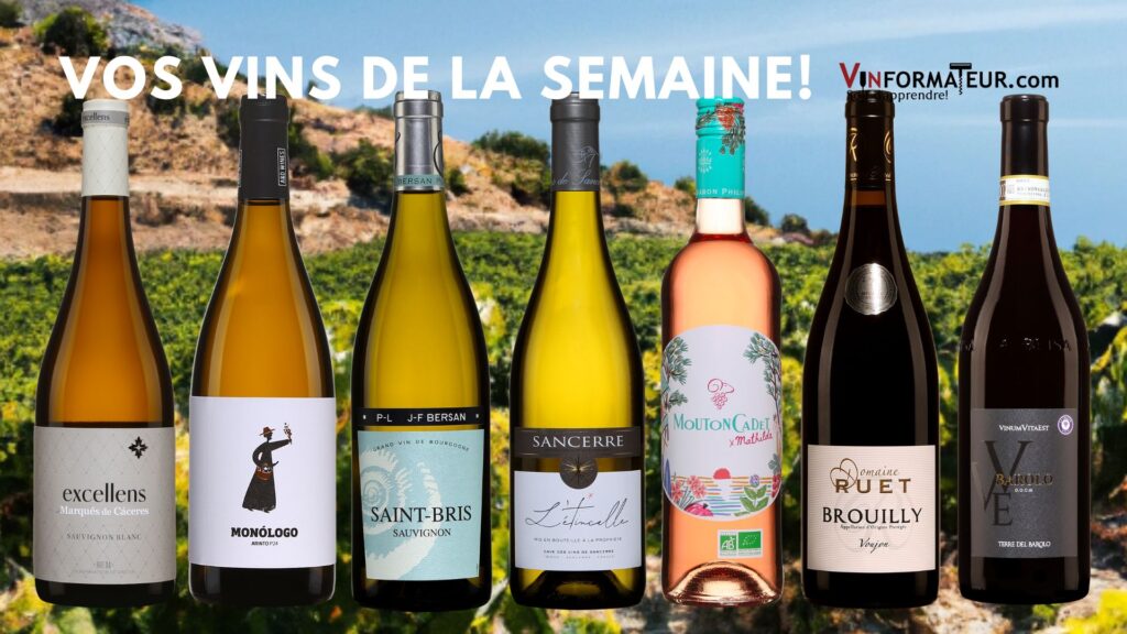 Vins de la semaine: Excellens, Sauvignon Blanc, Monologo, Arinto, Sauvignon, Saint-Bris,PL et JF Bersan, L’Étincelle, Sancerre, Mouton Cadet, Cuvée X Mathilde, Domaine Ruet, Brouilly , Barolo, Vinum Vita Est. bouteilles