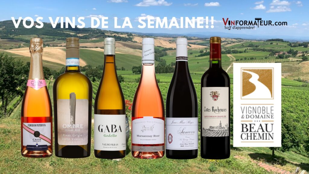Cava, Brut Rosé bio, Federico Paternina, Ombre, Pinot Grigio delle Venezie, Godello, Gaba do Xil, Marsannay rosé, Bourgogne Vieux Collège, Pinot Noir, Cuvée La Grange Dimière, Côtes Rocheuses, Saint-Émilion Grand Cru, vins du Vignoble et Domaine Beauchemin. bouteilles