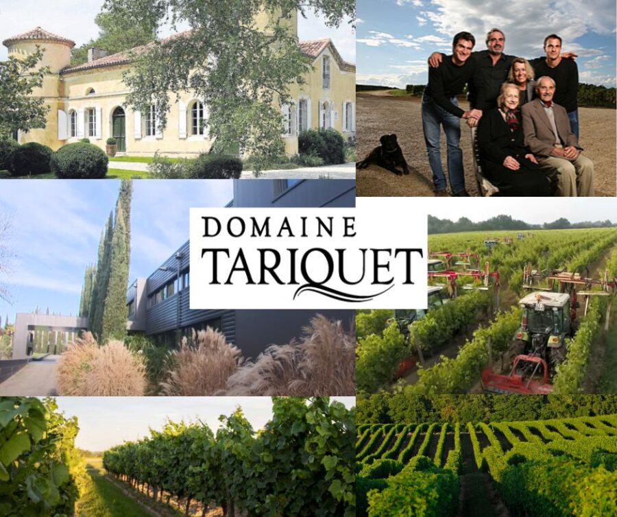 Domaine Tariquet: Famille Grassa, chai et vignobles