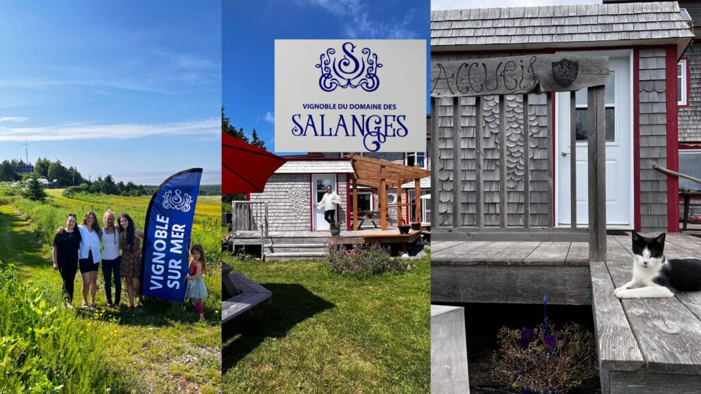 Accueil au Vignobles du Domaine des Salanges. (Crédit photo Fanny Bérubé)