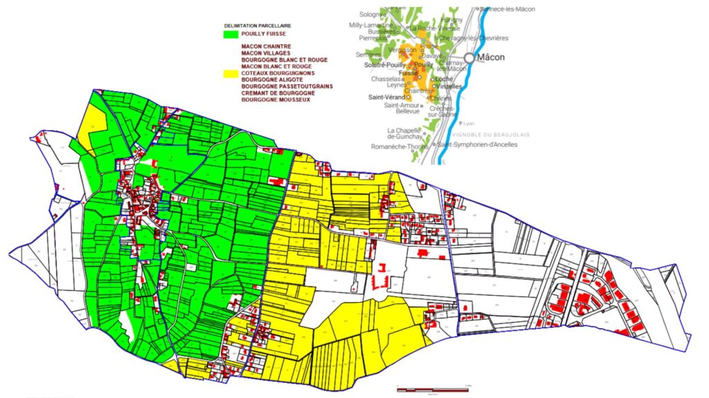 Carte viticole Mâcon-Chaintré