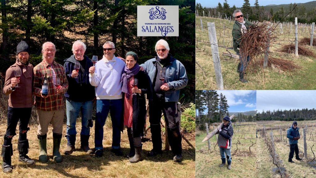 Les amis du Vignoble du Domaine des Salanges au travail! (Crédit photo du groupe Fanny Bérubé)