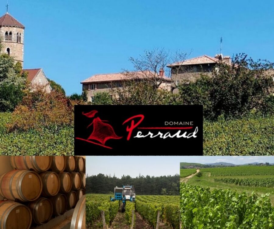 Domaine Perraud: chai et vignobles