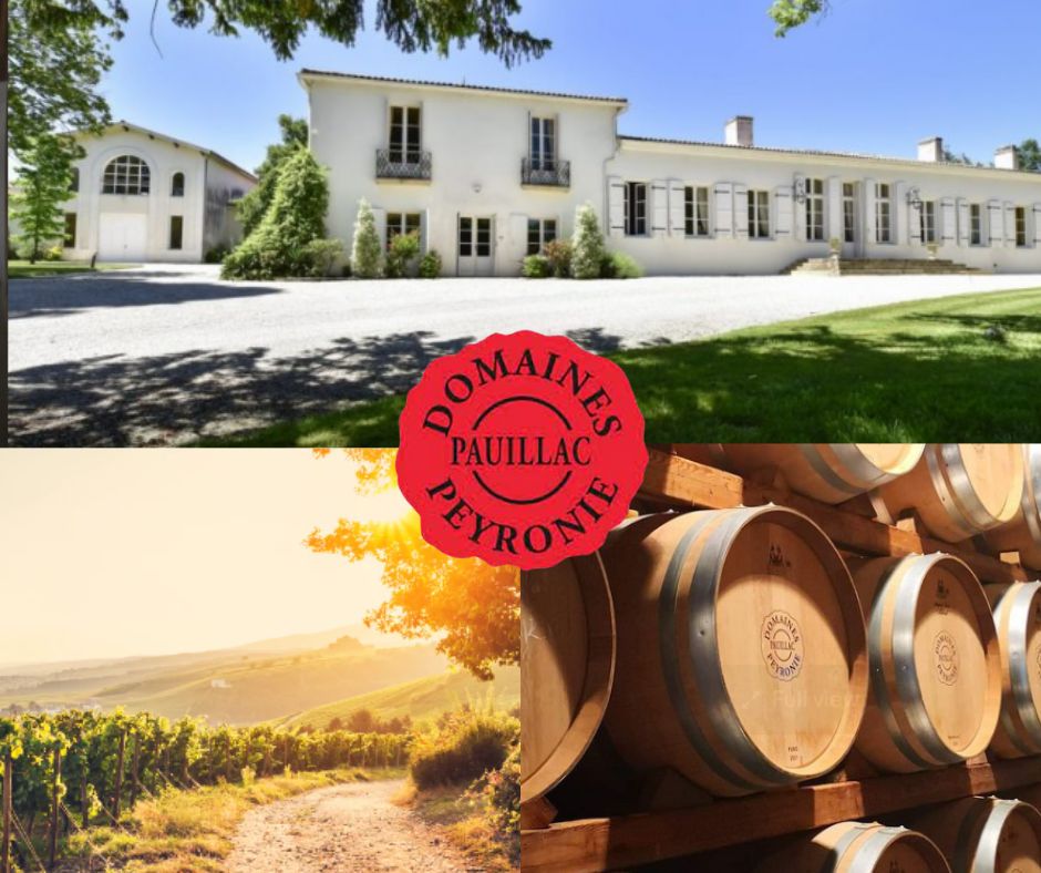 Château Fonbadet: chai et vignobles