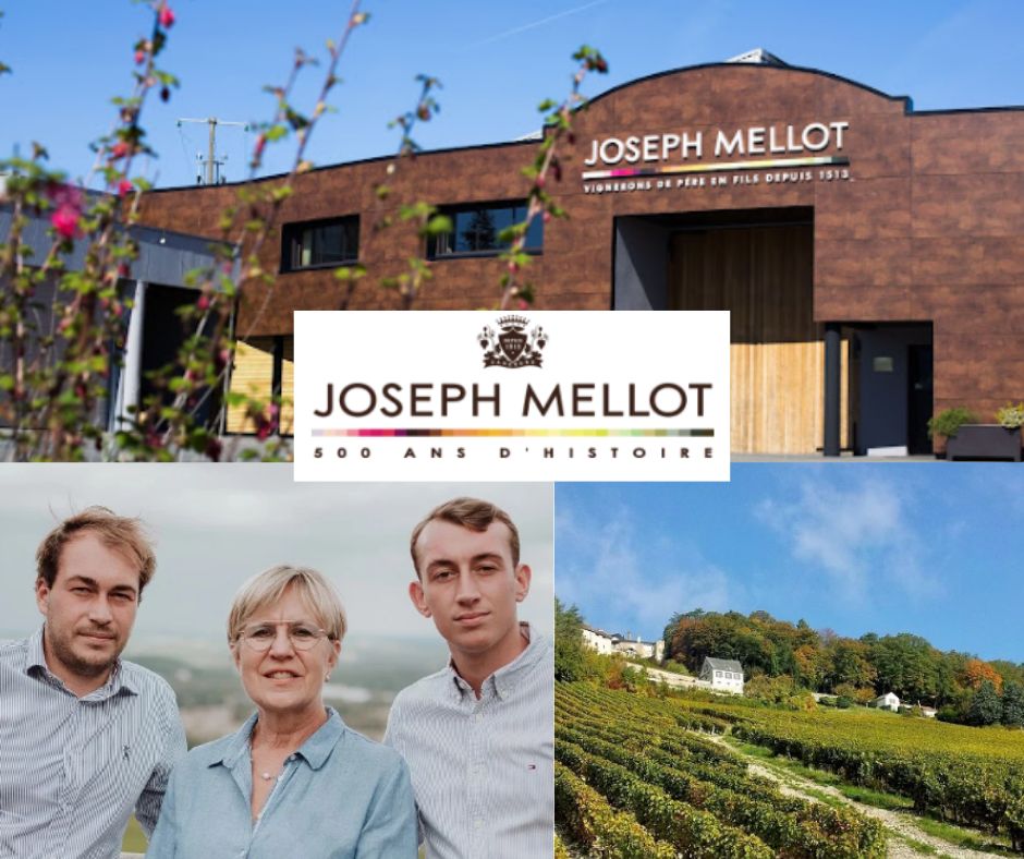 Maison Joseph Mellot: famille Mellot, chai et vignobles