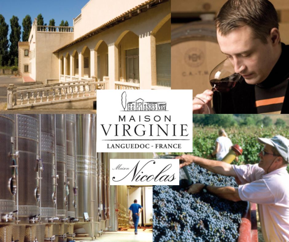 Maison Virginie: chai, vignobles et Cédric Jenin