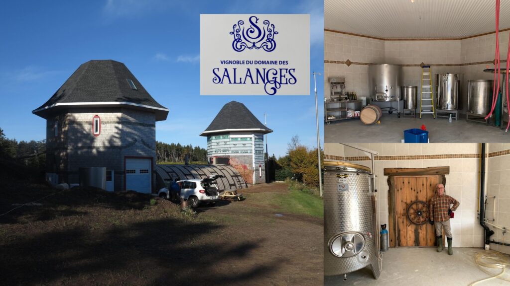 Bâtiments d'origine, chai Vignoble du Domaine des Salanges