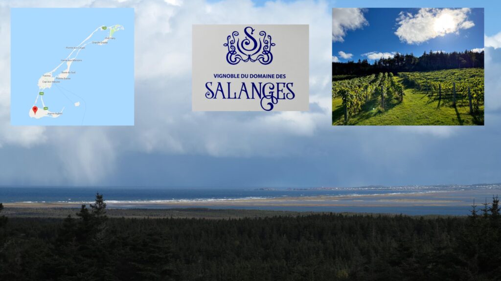 Carte des Iles-de-la-Madeleine et vue du vignoble sur la mer. (Crédit photo vignobles Fanny Bérubé)