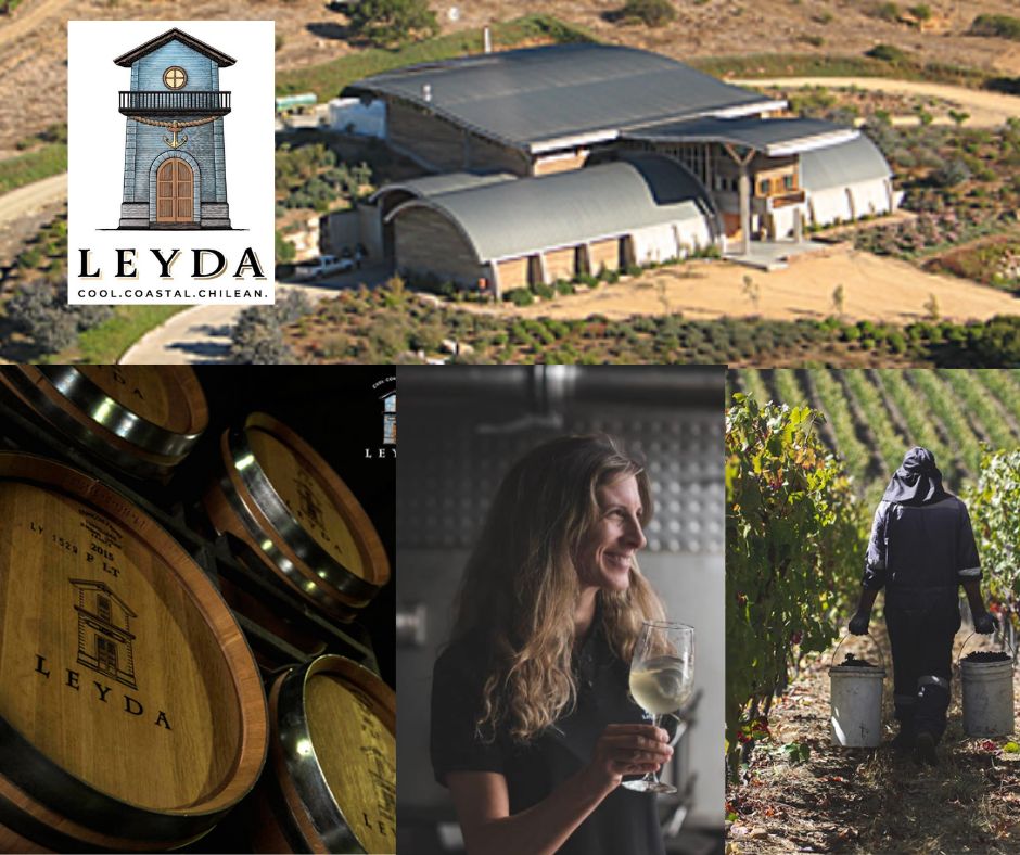 Vina Leyda: chai, vignobles et Viviana Navarette winemaker