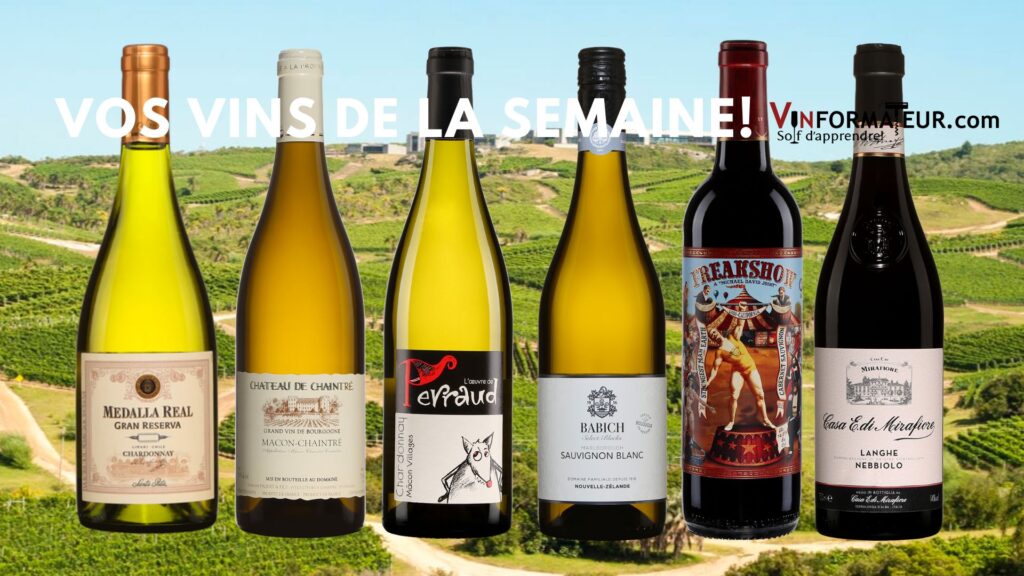 Vos vins de la semaine!
