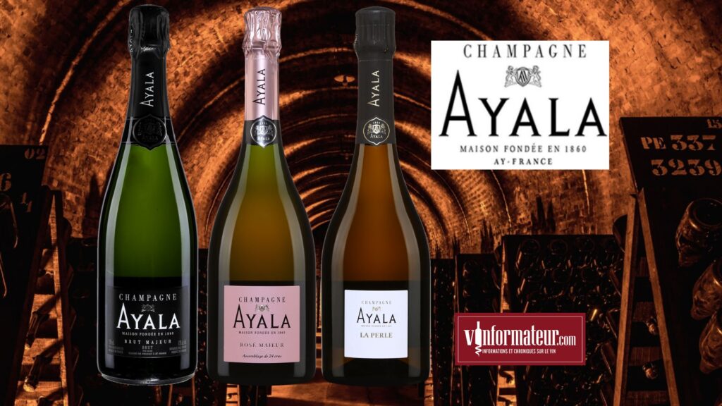 Champagne Ayala, la plus pure expression du Chardonnay.