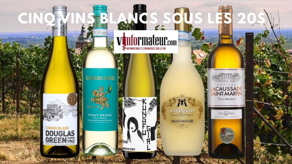 Chenin blanc, Douglas Green, Gabbiano, Pinot Grigio delle Venezie, Kung Fu Girl, Charles Smith Wines, Satinato, Montresor, Château La Caussade, St-Martin. bouteilles
