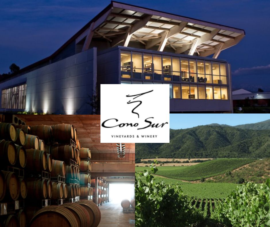 Cono Sur: chai et vignobles