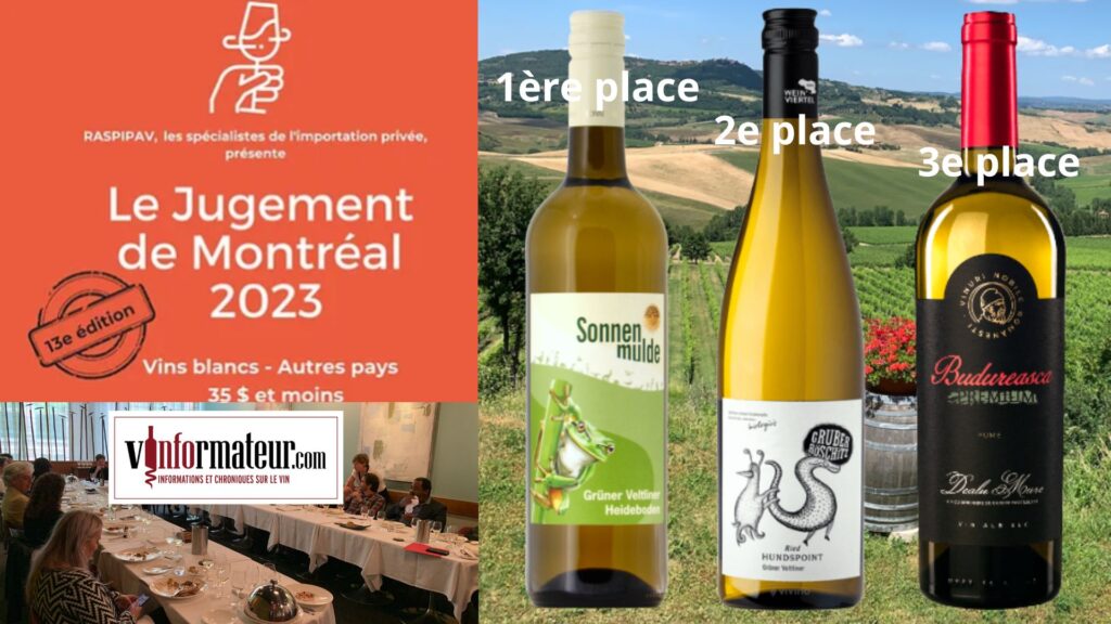 Jugement de Montréal 2023 – vins blancs autres pays de moins de 35$ – Les lauréats.