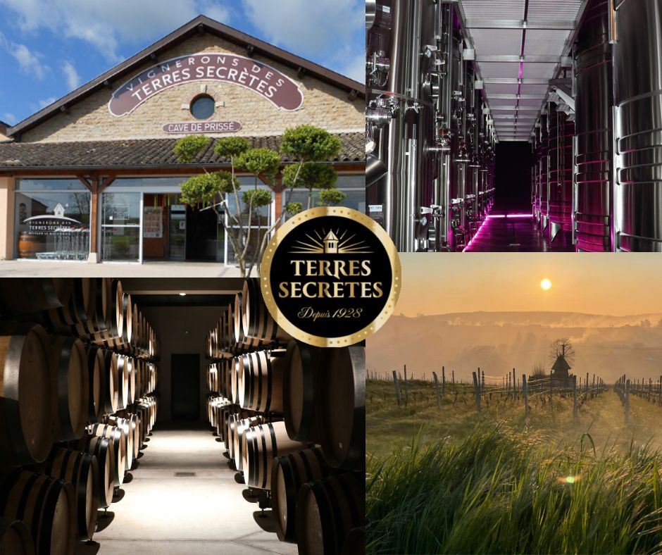 Vignerons Terres Secrètes: chais et vignobles