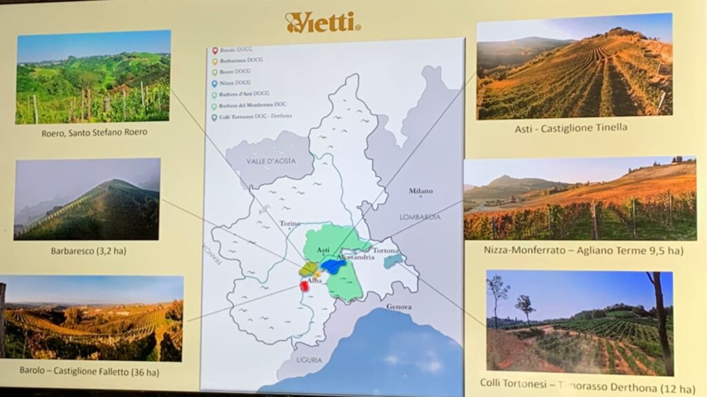 Vietti: vignobles