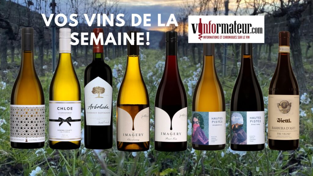 La Baie Orientale, Chloe, Chardonnay, Aubert & Mathieu, Hautes Pistes Chardonnay et Pinot Noir, Imagery, Chardonnay et Pinot Noir, Arboleda, Cabernet-Sauvignon, Barbera d’Asti, Tre Vigne. bouteilles