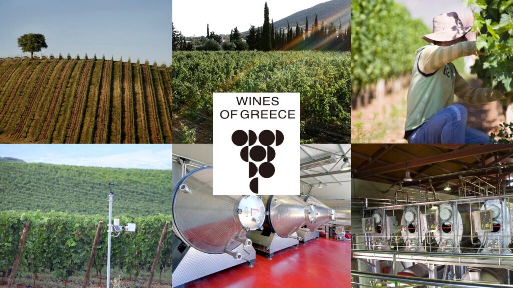 Vins de la Grèce: vignobles et chais