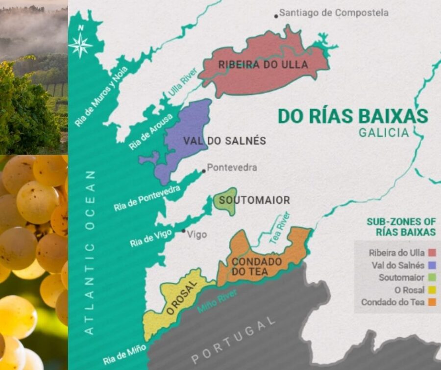 Carte viticole Rias Baixas