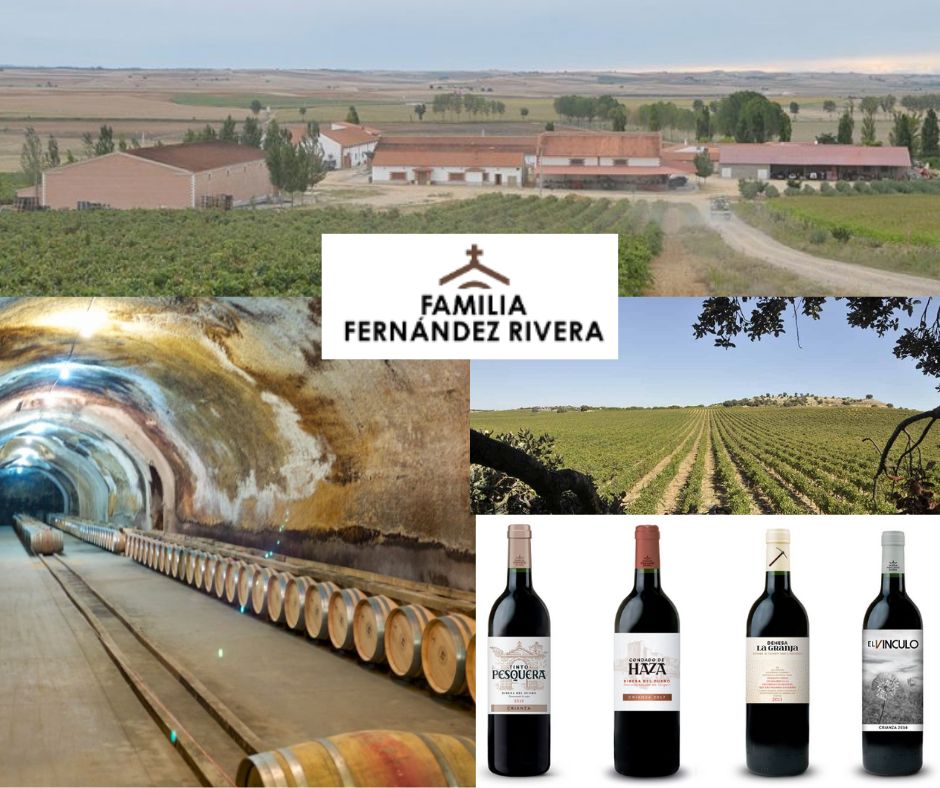 Familia Fernandez Rivera: chai, vignobles et vins