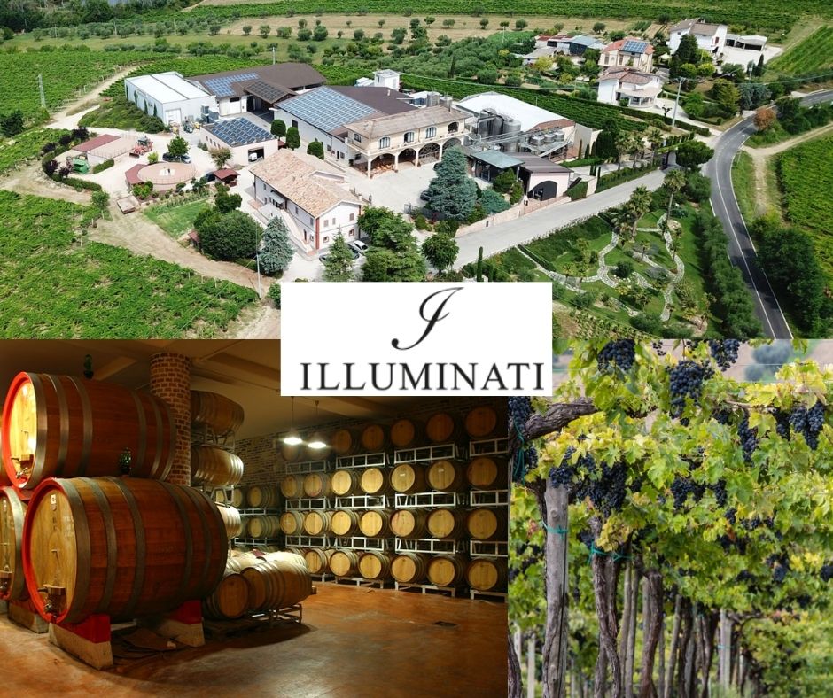 Illuminati: chai et vignobles