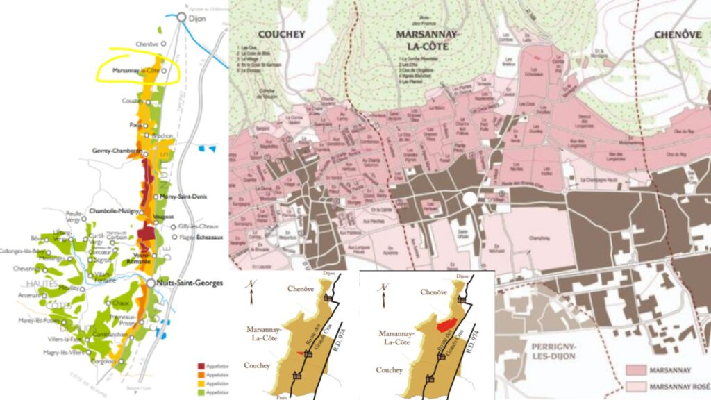 Cartes viticoles Marsannay et lieux dits