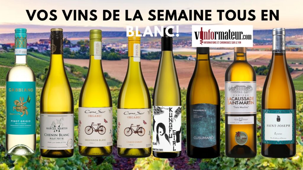 Vos vins de la semaine: Gabbiano, Pinot Grigio delle Venezie, Chenin blanc Marcel Martin, Cono Sur, Organic, Sauvignon blanc et Chardonnay, Kung Fu Girl, Cusumano, Shamaris, Château La Caussade, Yves Cuilleron, Les Lyseras bouteilles