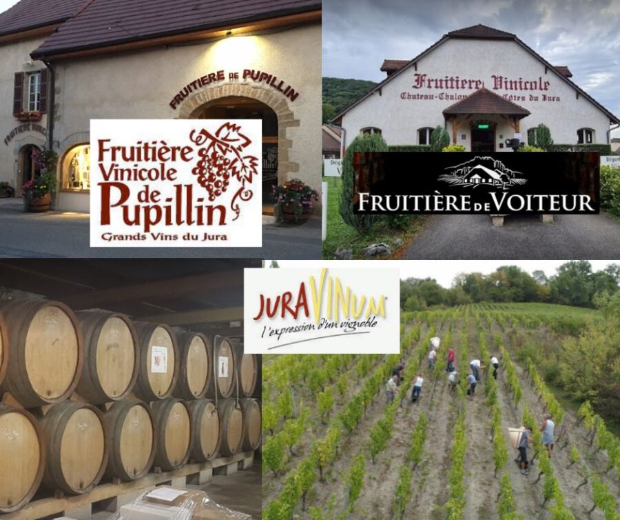 Fruitière vinicole de Pupillin: chais et vignobles