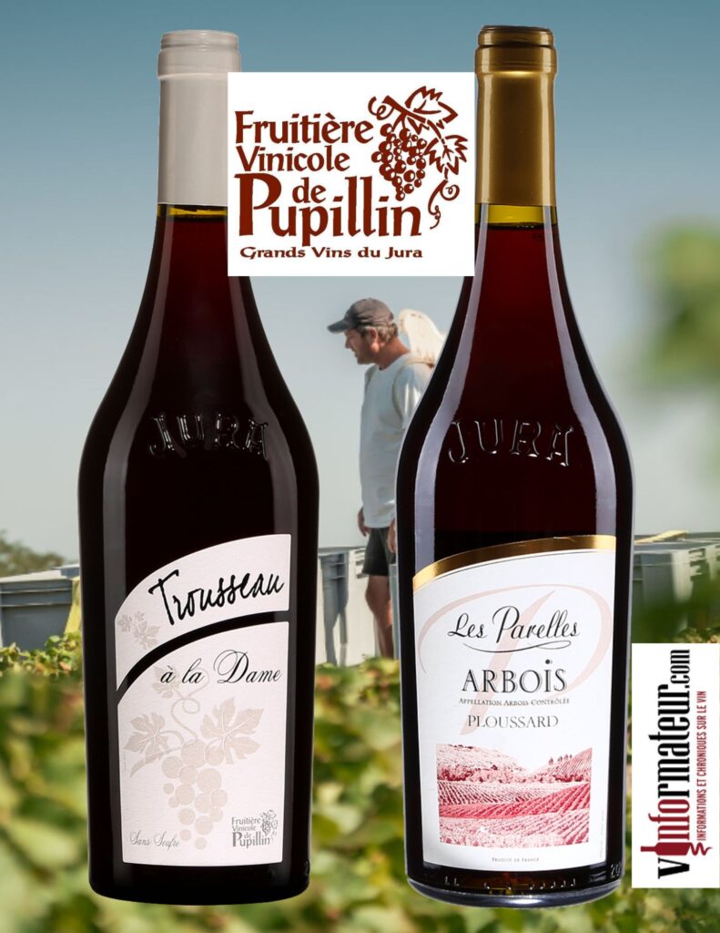 Vins rouges du Jura: Les Parelles, Ploussard ,vin rouge, 2020, 21,80$, Trousseau,, vin rouge nature (sans sulfites ajoutés), 2022, 25,45$. bouteilles