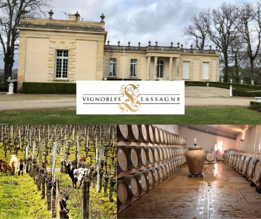 Vignobles Lassagne: chai et vignobles