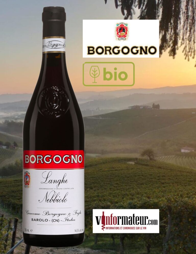 Borgogno, Italie, Langhe Nebbiolo, vin rouge bio, 2021 bouteille