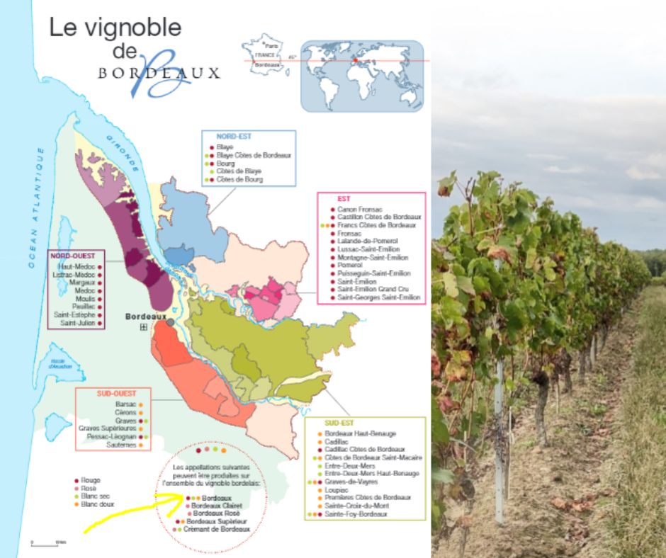 Carte viticole Bordeaux