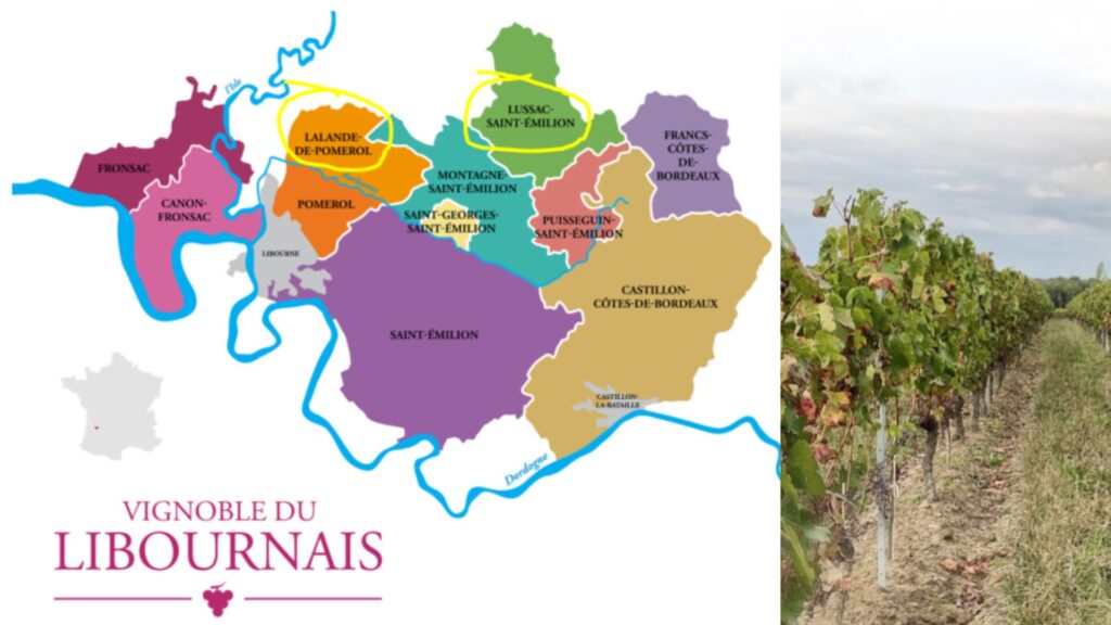 Carte viticole Libournais Bordeaux