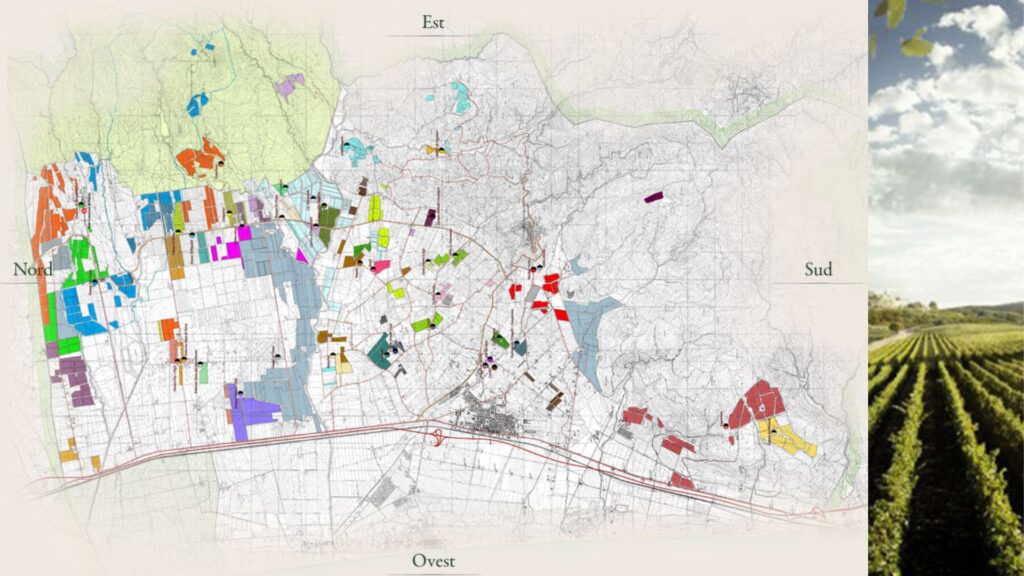 Carte viticole Bolgheri DOC