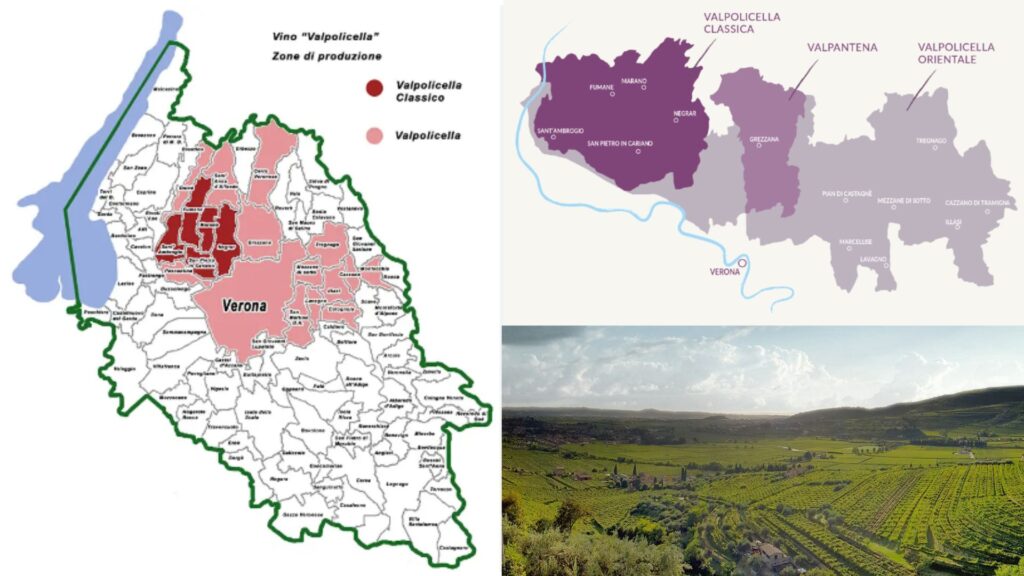 Carte viticole Valpolicella