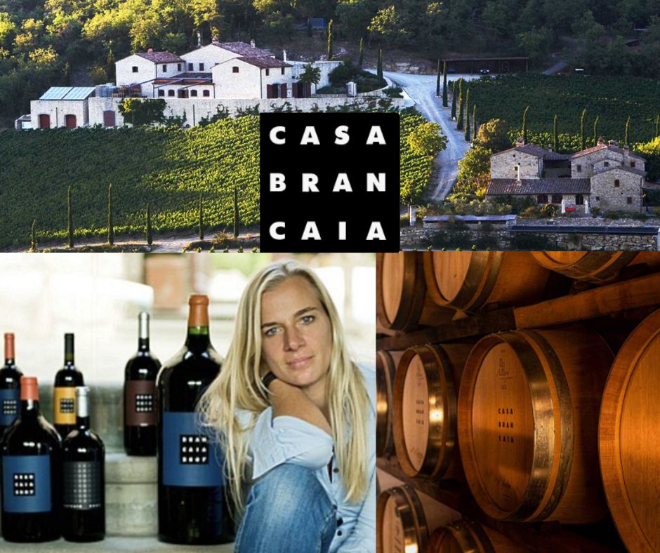 Casa Brancaia: Barbara Widmer, chai et vignobles.