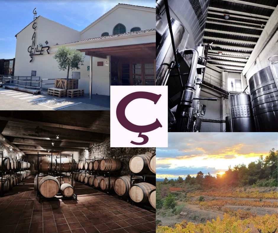 Celler de Capçanes: chai et vignobles