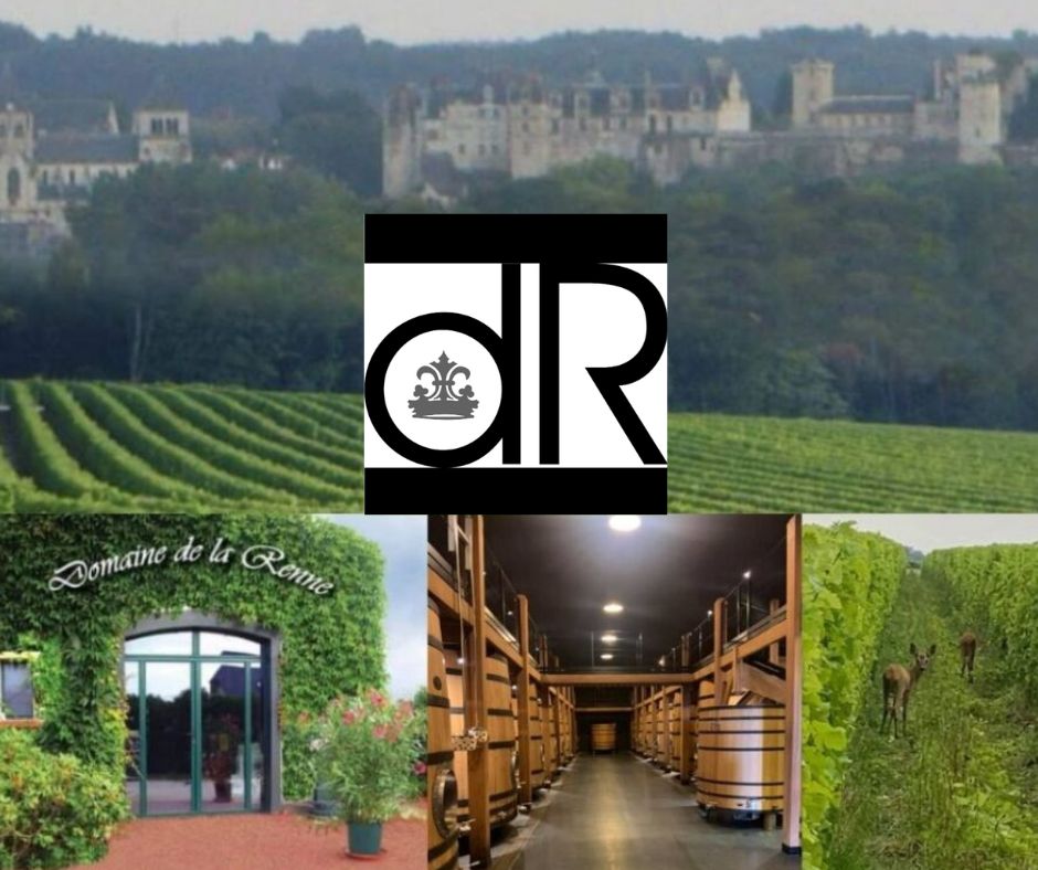 Domaine de la Renne: chai et vignobles
