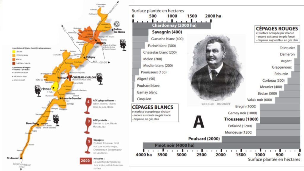 Carte viticole du Jura, carte des cépages.