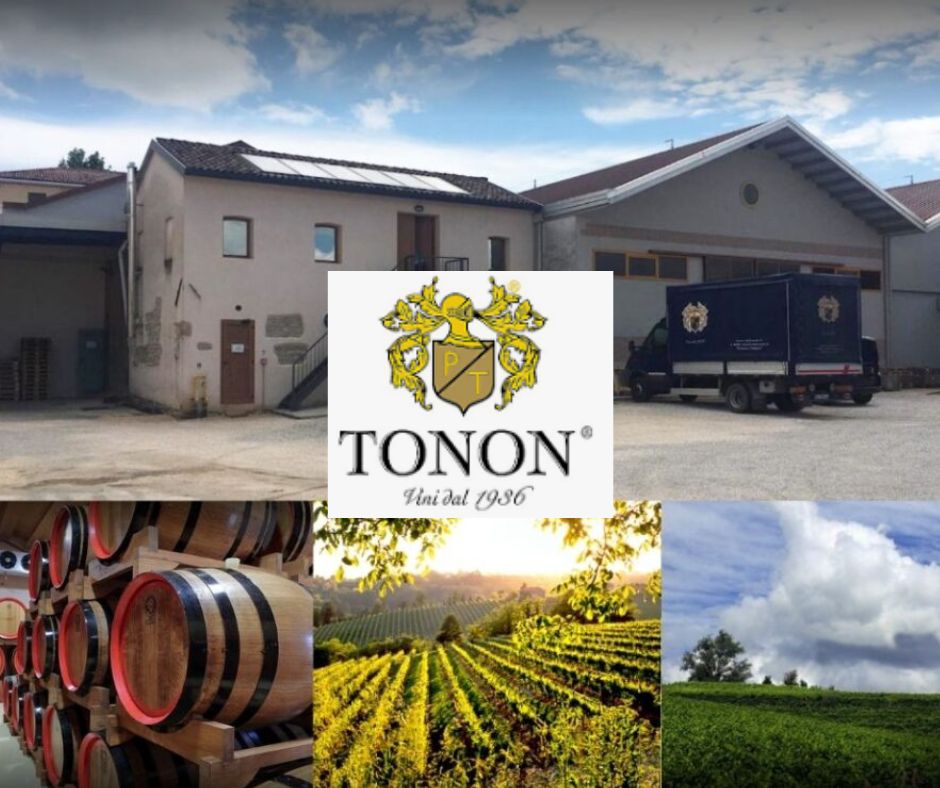 Tonon: chai et vignobles